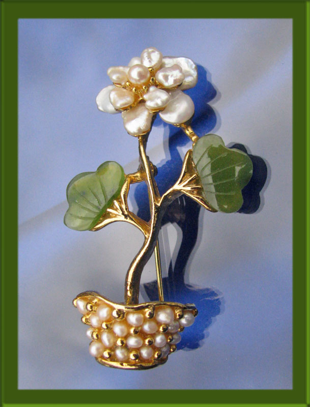 Swoboda-pearl-flower-in-flower-pot-with-jade-leaves